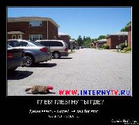 (535x480, 44 kБ...)