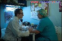 (600x399, 57 kБ...)