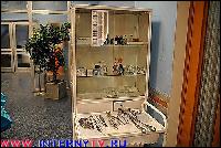 (500x333, 52 kБ...)